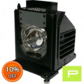 Mitsubishi 915P061010 Lamp & Housing