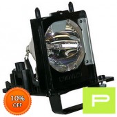 Mitsubishi 915B455011 Lamp & Housing