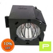 Samsung BP96-00497A Lamp & Housing