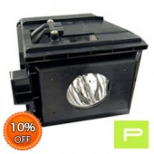 Samsung BP96-01073A Lamp & Housing