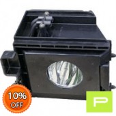 Samsung BP96-01099A Lamp & Housing