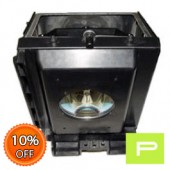 Samsung BP96-01403A Lamp & Housing